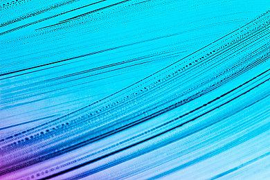 《黎明杀机》因黑人面具被投诉：助长种族主义骚扰